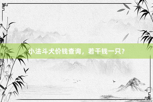 小法斗犬价钱查询，若干钱一只？